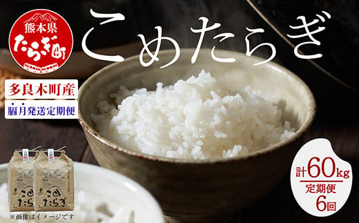 【定期便6回】多良木町産 こめたらぎ 10g（5kg×2袋）×6回 計60kg