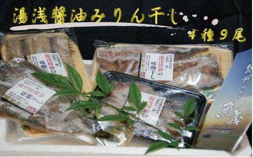 和歌山の近海でとれた新鮮魚の湯浅醤油みりん干し4品種9尾入りの詰め合わせ
【tec200A】