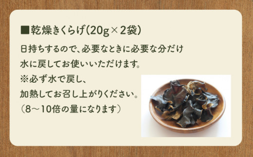 【食物繊維たっぷり】佐賀県産 きくらげ 3種の詰め合わせセット（生・乾燥・パウダー）計270g /菓子工房ピュアハート [UDF001] キクラゲ きのこ 生きくらげ 乾燥きくらげ きくらげパウダー