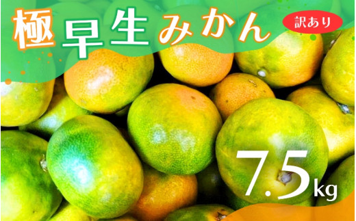 【2024年秋頃発送予約分】【訳あり】こだわりの極早生みかん 約7.5kg ※2024年10月上旬より順次発送予定（お届け日指定不可） 有機質肥料100% サイズ混合  有田産【nuk166】