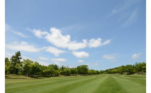 森林公園ゴルフ倶楽部 施設利用補助券 [ 森林公園ゴルフ倶楽部 埼玉県 小川町 193 ] スポーツ ゴルフ ごるふ ゴルフ場 施設利用補助券 施設利用券 チケット ゴルフプレー券 ゴルフ場利用券 体験チケット