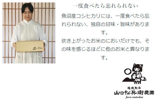 54P374 令和6年産 定期便 越後魚沼 松兵衛のこしひかり定期便5㎏×3回（毎月お届け） 従来品種 魚沼産 コシヒカリ 白米 魚沼 3か月連続お届け