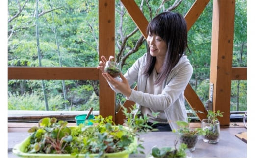 小さな自然に癒される【苔テラリウム作り体験】利用券