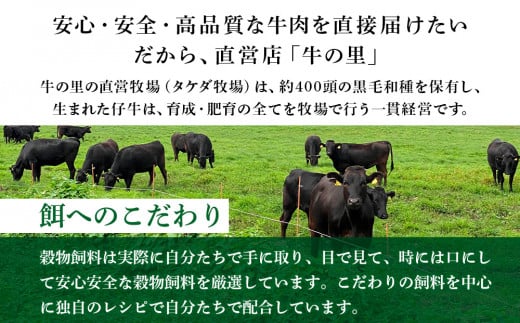 牛の里ビーフハンバーグ（110g×8個）特製ソース（8袋）の詰合せ ハンバーグ 牛肉 国産 人気 ソース付