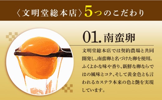 【12/19入金まで年内発送】おぢか焼印 特撰 カステラ 580g 1箱 「ちかまるくん」 《文明堂総本店》 [DBF005] かすてら 和菓子 菓子 常温 ギフト 手土産 スイーツ おやつ 卵 ゆるキャラ キャラクター