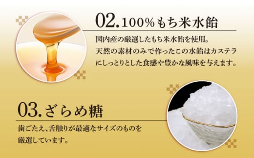 【12/19入金まで年内発送】おぢか焼印 特撰 カステラ 580g 1箱 「ちかまるくん」 《文明堂総本店》 [DBF005] かすてら 和菓子 菓子 常温 ギフト 手土産 スイーツ おやつ 卵 ゆるキャラ キャラクター