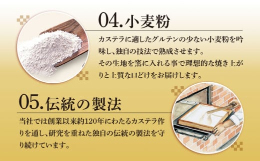 【12/19入金まで年内発送】おぢか焼印 特撰 カステラ 580g 1箱 「ちかまるくん」 《文明堂総本店》 [DBF005] かすてら 和菓子 菓子 常温 ギフト 手土産 スイーツ おやつ 卵 ゆるキャラ キャラクター