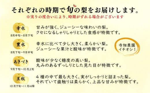 【 先行予約 】 梨 秀品  5kg セット 8玉 ～ 14玉 幸水 豊水 秋月 王秋 フルーツ 果物 なし 期間限定 下関 山口 【 数量限定 】 【9月より発送】