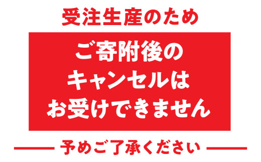 純プラチナ製(Pt999)  消波ブロック ALPER008| ふるさと納税  ジュエリー プラチナ  おすすめ 山梨県 南アルプス市 送料無料 