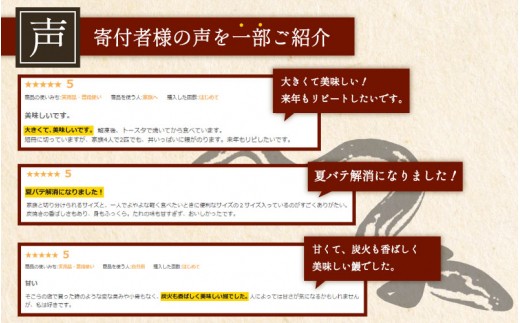 ＜2ヵ月に1回お届け＞新仔!!味鰻の本格手焼備長炭蒲焼 2尾（無頭）×6回定期便【E165-2311】