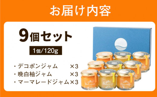 九州果実ジャム 熊本県セット 9個セット デコポンジャム 甘夏マーマレード 晩白柚ジャム 1個あたり120g《30日以内に出荷予定(土日祝日除く)》熊本県 水俣市 津奈木町 福田農場 ジャム マーマレード 柑橘 セット