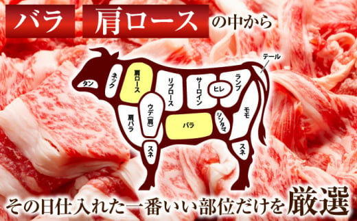 【訳あり】【A4～A5】長崎和牛焼肉切り落とし(肩ロース・バラ）　500g【株式会社 MEAT PLUS】 [QBS003]