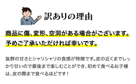 【訳あり】  際まで甘い こだまスイカ　愛娘（２玉）【2025年5月中旬より発送開始】スイカ 西瓜 旬 旬の果実 旬のフルーツ くだもの 果実 フルーツ 夏 [BC061sa]