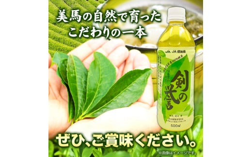 徳島県産 緑茶 「 剣の誉 」 500ml×24本 JA徳島県 《30日以内に出荷予定(土日祝除く)》│ お茶 茶 緑茶 ペットボトル 水出し 常温 常温保存 徳島県 美馬市 送料無料