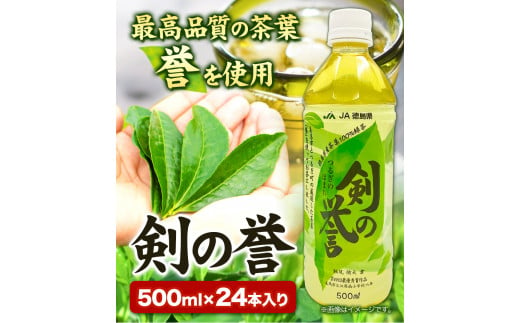 徳島県産 緑茶 「 剣の誉 」 500ml×24本 JA徳島県 《30日以内に出荷予定(土日祝除く)》│ お茶 茶 緑茶 ペットボトル 水出し 常温 常温保存 徳島県 美馬市 送料無料