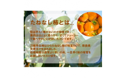 ＜令和6年10月以降発送予定＞刀根早生柿発祥の地※より「たねなし柿」L~2L(1段箱16～18玉)【1434467】