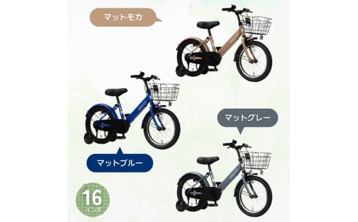 ブルーとグリーンシティサイクル