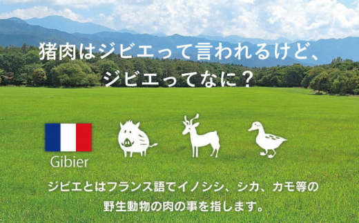 ジビエ 天然イノシシ肉 バラ肉スライス 1kg【照本食肉加工所】 [OAJ009] / 猪 猪肉 いのしし肉 イノシシ イノシシ肉 ジビエ いのしし 長崎県猪 川棚町産猪 ぼたん鍋用いのしし 九州産イノシシ じびえ ジビエ ジビエ肉