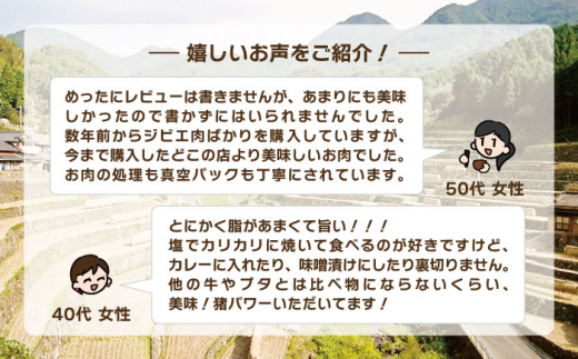 ジビエ 天然イノシシ肉 バラ肉スライス 1kg【照本食肉加工所】 [OAJ009] / 猪 猪肉 いのしし肉 イノシシ イノシシ肉 ジビエ いのしし 長崎県猪 川棚町産猪 ぼたん鍋用いのしし 九州産イノシシ じびえ ジビエ ジビエ肉