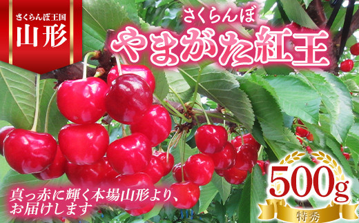 山形県置賜産 さくらんぼ やまがた紅王 500g バラパック 特秀 3L以上 F21B-073