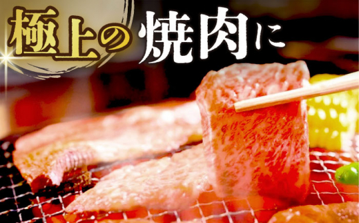 【全2回定期便】【A4～A5】長崎和牛焼肉用　500g【株式会社 MEAT PLUS】 [DBS033]