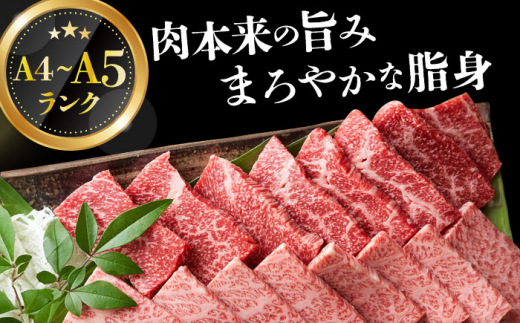 【全2回定期便】【A4～A5】長崎和牛焼肉用　500g【株式会社 MEAT PLUS】 [DBS033]