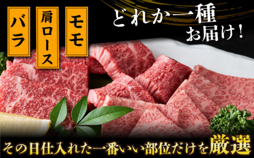 【全2回定期便】【A4～A5】長崎和牛焼肉用　500g【株式会社 MEAT PLUS】 [DBS033]