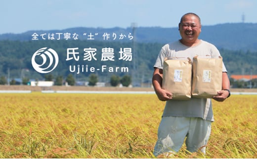 令和6年産 氏家農場の幻のお米「ササシグレ」5kg | 精米 白米 ご飯 栽培期間中 化学肥料 農薬 不使用 希少 主食 おにぎり お弁当 炭水化物 幻のお米 甘み あっさり ※2024年10月中旬頃より順次発送予定