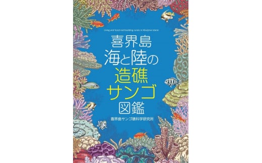 【喜界島】海と陸の造礁サンゴ図鑑