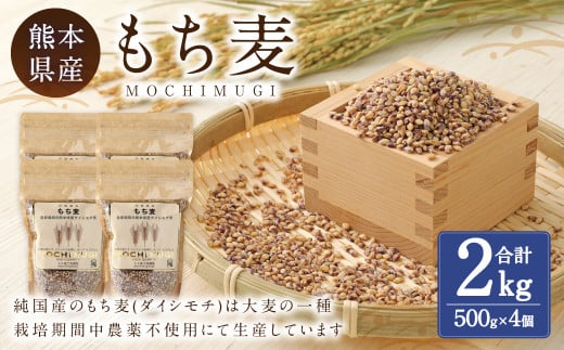 もち麦 計2kg（500g×4） 水俣市 もち麦工房