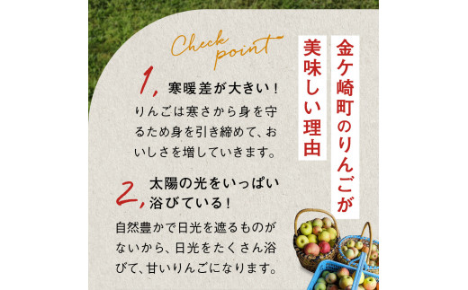 《先行予約》令和6年産 りんご 訳あり 5kg 品種おまかせ 2種類以上 【 サンふじ シナノゴールド 王林 はるか 奥州ロマン 陽光 】【令和6年11月下旬以降順次発送】