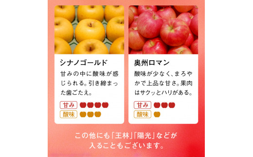 《先行予約》令和6年産 りんご 訳あり 5kg 品種おまかせ 2種類以上 【 サンふじ シナノゴールド 王林 はるか 奥州ロマン 陽光 】【令和6年11月下旬以降順次発送】