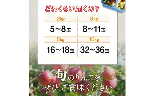 《先行予約》令和6年産 りんご 訳あり 5kg 品種おまかせ 2種類以上 【 サンふじ シナノゴールド 王林 はるか 奥州ロマン 陽光 】【令和6年11月下旬以降順次発送】