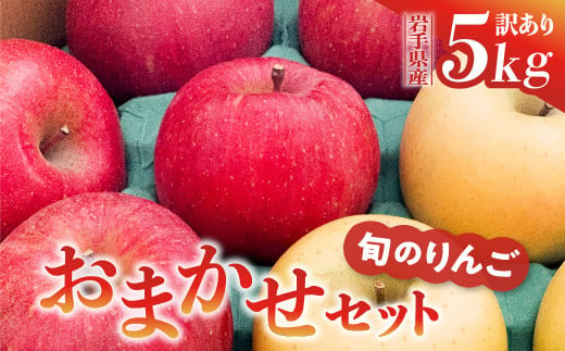 《先行予約》令和6年産 りんご 訳あり 5kg 品種おまかせ 2種類以上 【 サンふじ シナノゴールド 王林 はるか 奥州ロマン 陽光 】【令和6年11月下旬以降順次発送】