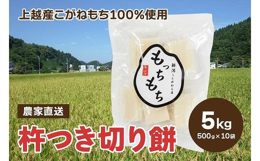 500袋限定 新潟上越浦川原産もち米こがねもち100%使用｜個包装無添加切り餅10袋(合計100個)【餅 もち モチ お正月 ご当地 お土産 新潟県産】