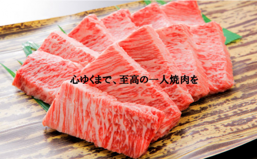 【計8回】お一人様向け 佐賀牛の異なる部位で焼肉を楽しむ！1か月に1回届く定期便 [FAZ044]