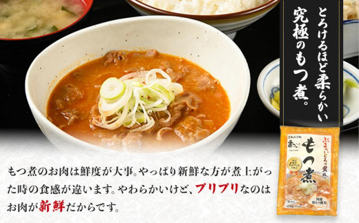 【定期便３カ月】国産豚もつ使用！とろけるほど柔らかい究極のもつ煮  500g×2袋