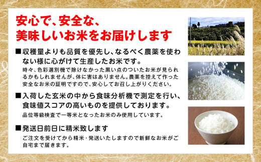 【令和6年産】ミルキークイーン精米10kg　一等米5kg×2袋　【07461-0008】