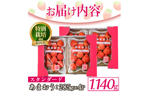 ＜予約受付中！2024年12月中旬より順次発送予定＞うるう農園のスタンダードあまおう(計1.14kg・285g×4P) ふるさと納税 春日市 特産品 苺 いちご イチゴ 果物 フルーツ 国産 福岡県 ヨーグルト ジャム スムージー 冷蔵 特別栽培＜離島配送不可＞【ksg1219】【うるう農園】