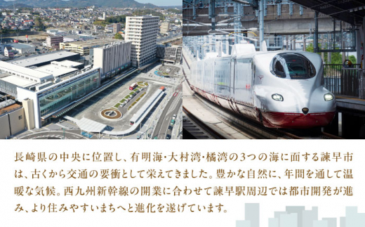 しげるのジンジャー3本セット　/　スパイス　ジンジャー　肉　胡椒　鶏ガラ　/　諫早市　/　株式会社飯盛グリーン開発　 [AHCY011]