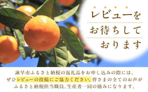 しげるのジンジャー3本セット　/　スパイス　ジンジャー　肉　胡椒　鶏ガラ　/　諫早市　/　株式会社飯盛グリーン開発　 [AHCY011]