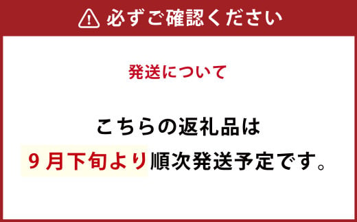 九重町産 冷凍 ブルーベリー 1kg (1kg ×1袋)  農薬不使用 果物