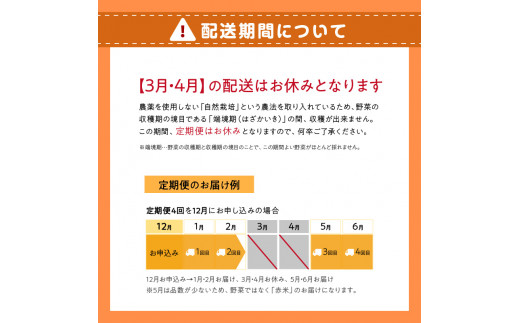 ＜京都産野菜定期便4回＞自然体な野菜セット 旬の野菜 野菜詰合せ 野菜セット 野菜定期便 ４回 自然農園 自然栽培 安心 安全 健康 マクロビ ベジタリアン 定期便 京野菜 京都 木津川【086-02-T03】