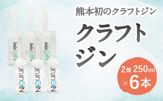 球磨焼酎ベースの熊本初 クラフト ジン 2種セット (250?×3本)×2 合計6本