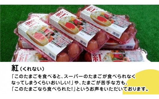 【 お中元 】 紅プレミアム 卵 と 紅たまご 食べ比べ セット 50個 （ 各 20個 入り ＋ 割れ保障 各 5個 ） 熨斗付き 御中元  独自飼料 濃厚 おいしい玉子 玉子 たまご サンサンエッグタンパク質 