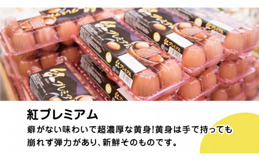 【 お中元 】 紅プレミアム 卵 と 紅たまご 食べ比べ セット 50個 （ 各 20個 入り ＋ 割れ保障 各 5個 ） 熨斗付き 御中元  独自飼料 濃厚 おいしい玉子 玉子 たまご サンサンエッグタンパク質 