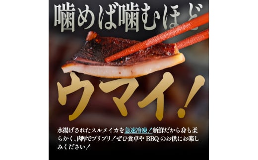 【四国一小さなまち】★訳あり★スルメイカの一日干し 約1kg 5枚程度 冷凍 一日干し 干物 加工食品 肉厚 海鮮 うまみ おつまみ 酒のお供 冷凍 1枚約200g 産地直送 冷凍配送 焼くだけ 簡単 国産 お取り寄せグルメ 高知県産 土佐 高知 返礼品 故郷納税 ふるさとのうぜい 田野町