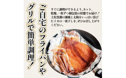 【四国一小さなまち】★訳あり★スルメイカの一日干し 約1kg 5枚程度 冷凍 一日干し 干物 加工食品 肉厚 海鮮 うまみ おつまみ 酒のお供 冷凍 1枚約200g 産地直送 冷凍配送 焼くだけ 簡単 国産 お取り寄せグルメ 高知県産 土佐 高知 返礼品 故郷納税 ふるさとのうぜい 田野町