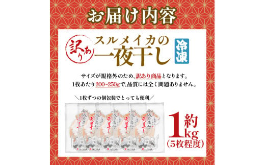 【四国一小さなまち】★訳あり★スルメイカの一日干し 約1kg 5枚程度 冷凍 一日干し 干物 加工食品 肉厚 海鮮 うまみ おつまみ 酒のお供 冷凍 1枚約200g 産地直送 冷凍配送 焼くだけ 簡単 国産 お取り寄せグルメ 高知県産 土佐 高知 返礼品 故郷納税 ふるさとのうぜい 田野町