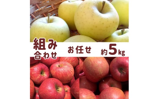 旬の信州りんご 【お任せ 5kg】